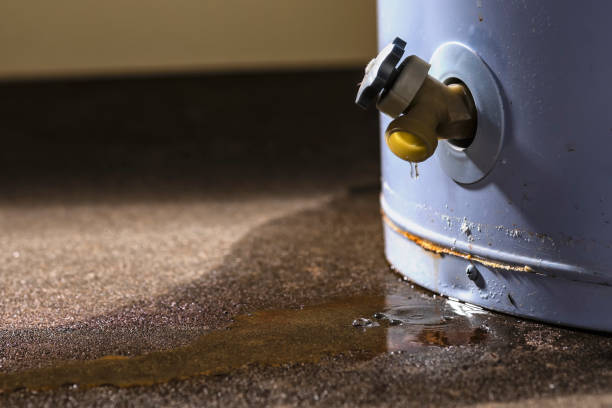 Best Water damage restoration mold remediation  in Cutchogue, NY