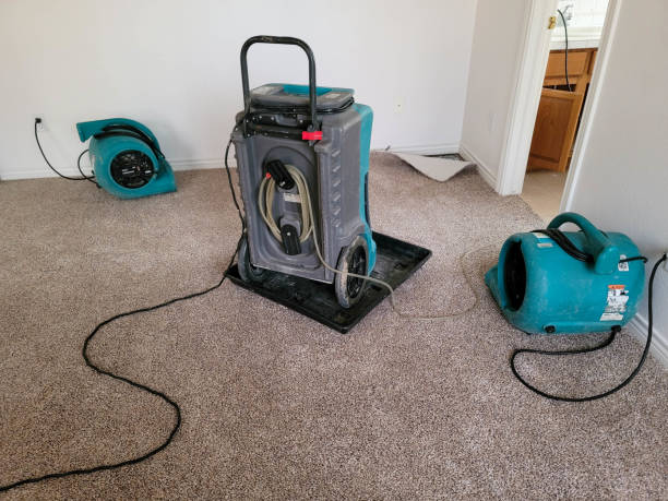 Water damage restoration mold remediation in Cutchogue, NY