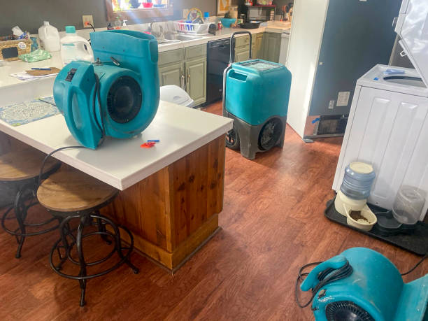 Best 24/7 water damage repair  in Cutchogue, NY
