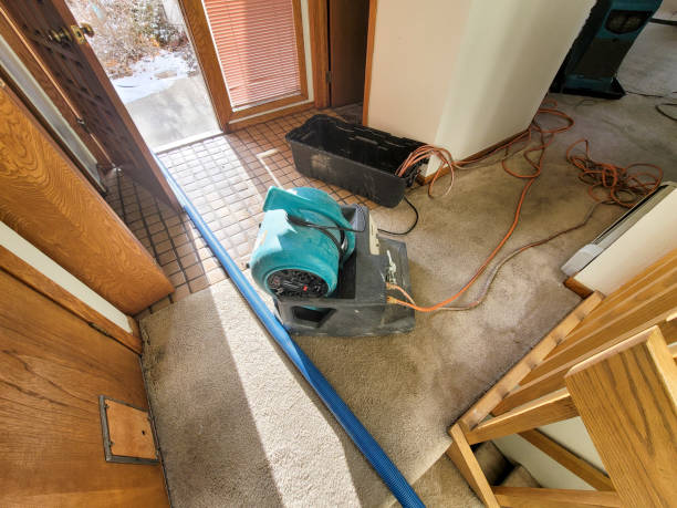 Best Ceiling water damage repair  in Cutchogue, NY
