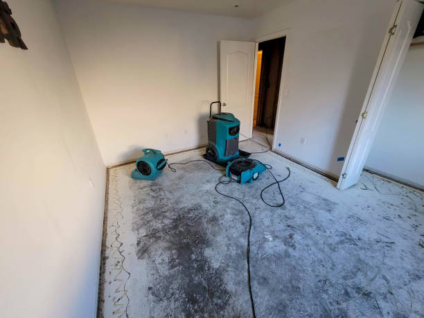 Best Commercial water damage restoration  in Cutchogue, NY