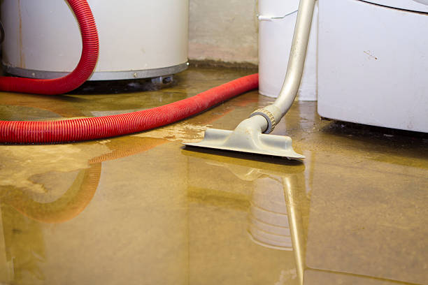 Best 24-hour water damage restoration  in Cutchogue, NY