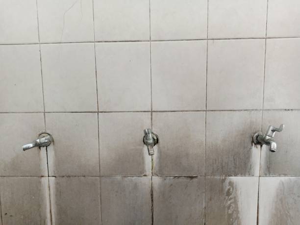 Best Flood damage cleanup  in Cutchogue, NY