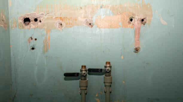 Best Water damage restoration near me  in Cutchogue, NY