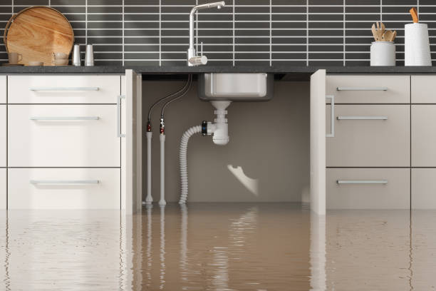 Best Local water damage restoration  in Cutchogue, NY
