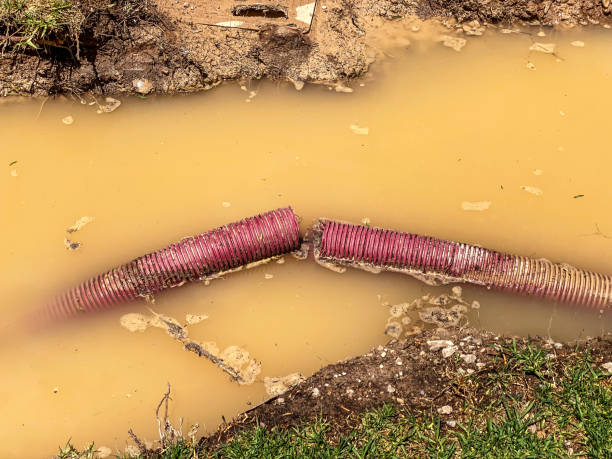 Best Water damage cleanup near me  in Cutchogue, NY