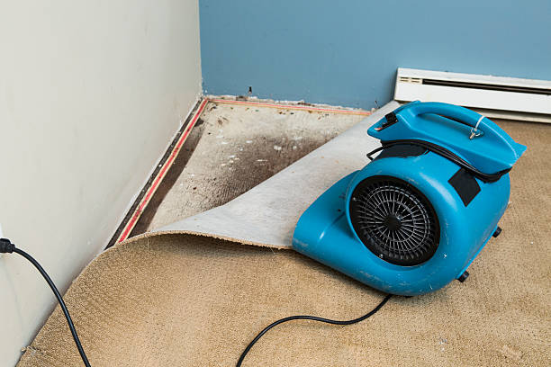 Best Residential water damage restoration  in Cutchogue, NY